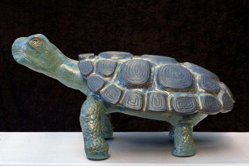 Schildpad