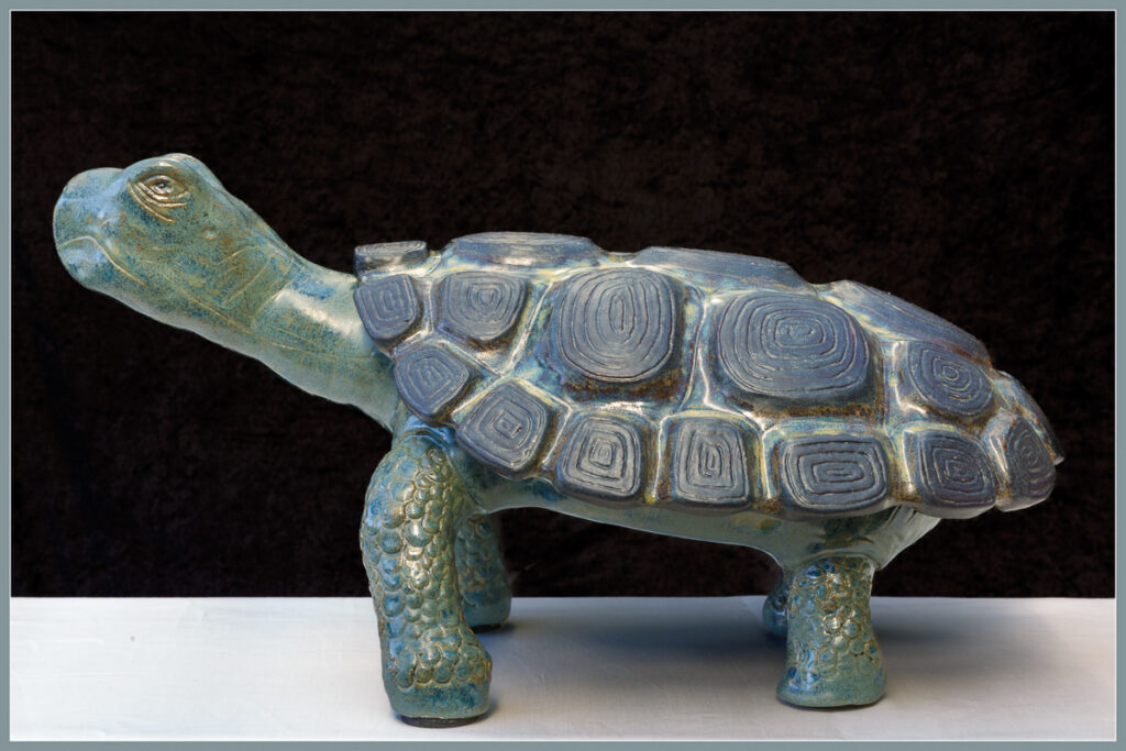 Schildpad
